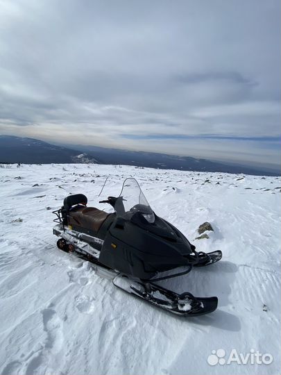 Тайга патруль