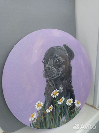 Портрет питомца по фото