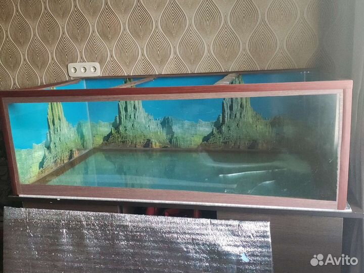 Террариум для рептилий