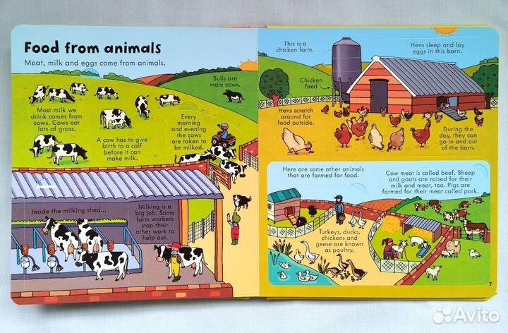 Usbome Look inside food