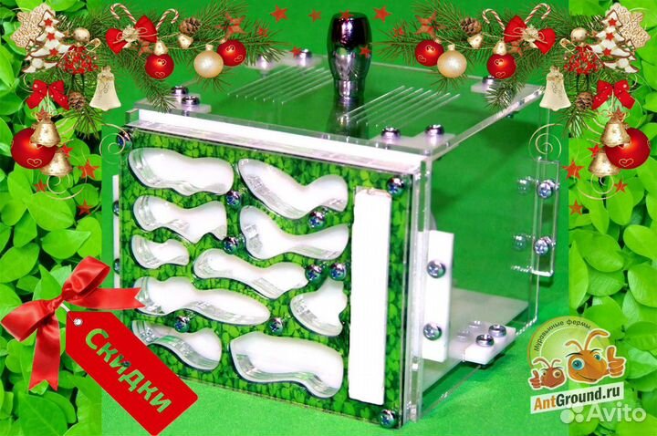 Муравьиная ферма с муравьями стартовый комплект