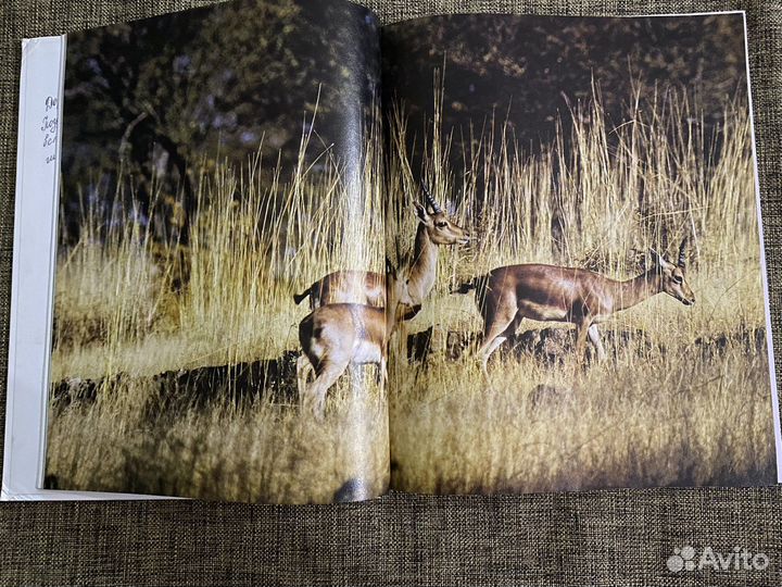 Энциклопедия «Африканские Просторы»