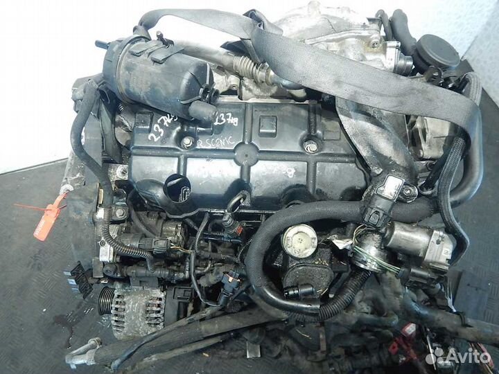 Двигатель Renault Scenic 2 1.9 F9Q 804