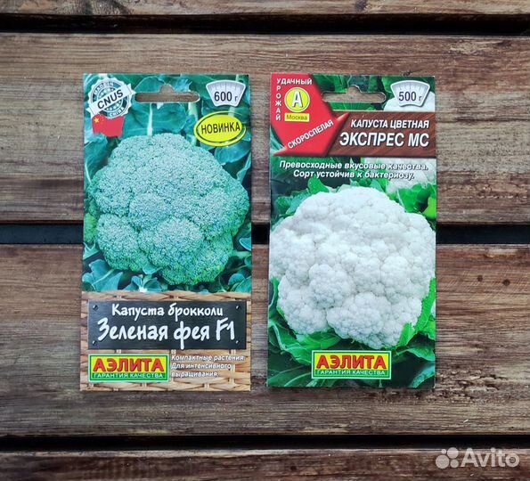 Семена капусты