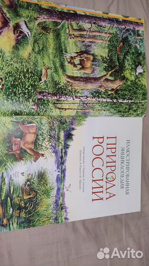 Энциклопедия природа России