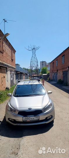 Олень