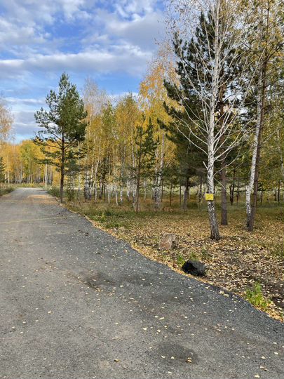 Участок 7,8 сот. (ИЖС)