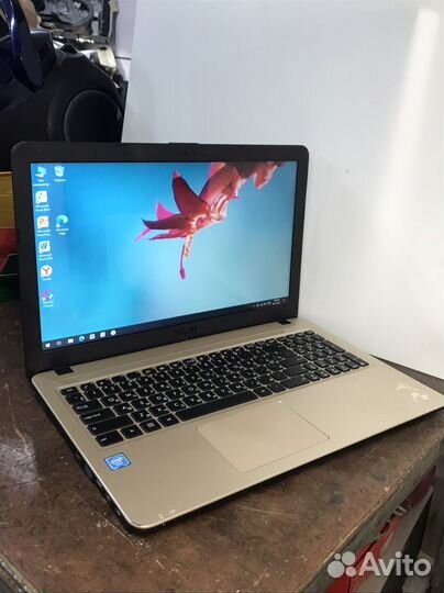 Шустрый HP asus