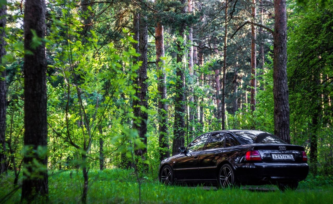 Audi A4: фото владельца