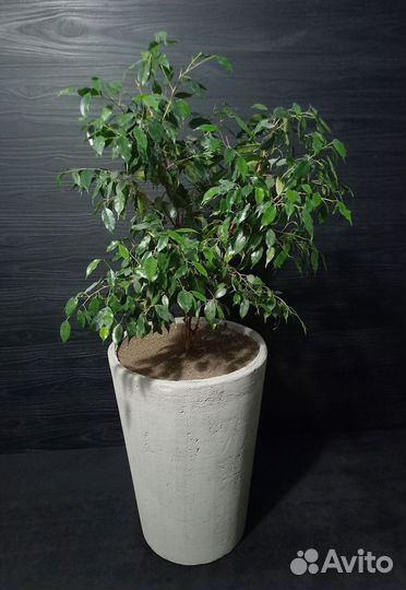 Кашпо, Вазоны, Горшки под заказ из бетона арт 125