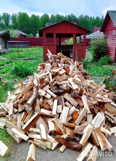 Дрова Береза