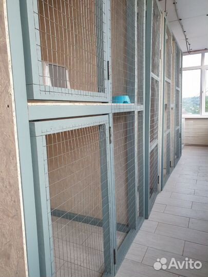 Зоогостиница, передержка животных