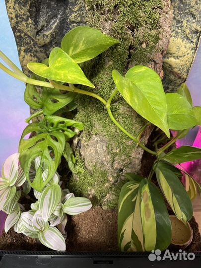 Террариум exo terra 30*30*45