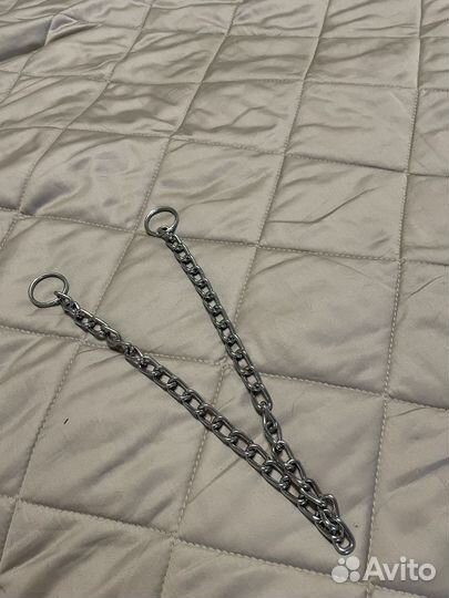 Строгий ошейник для собак