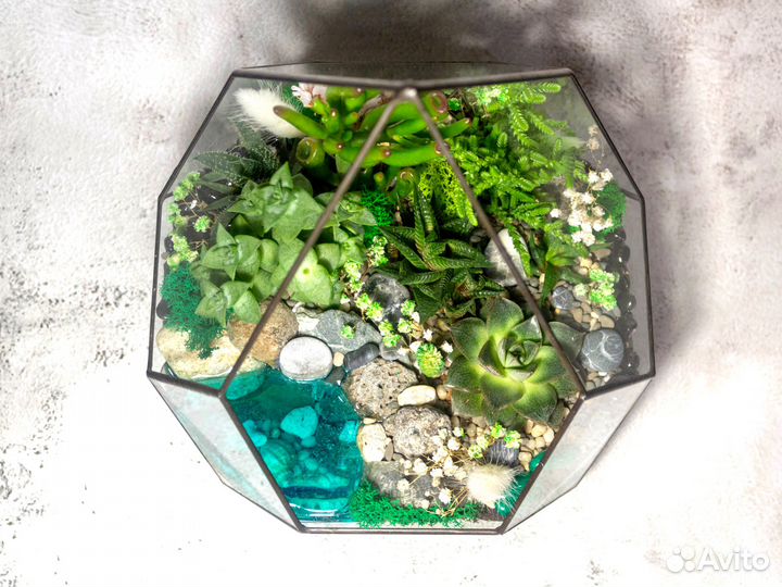 Большой флорариум с суккулентами