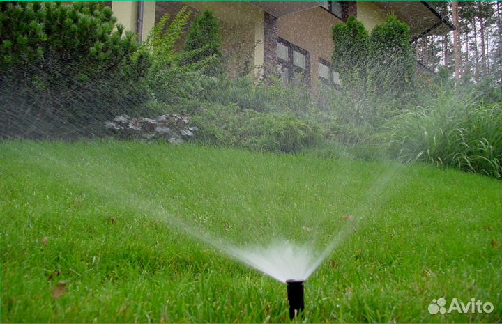 Семена газонной травы