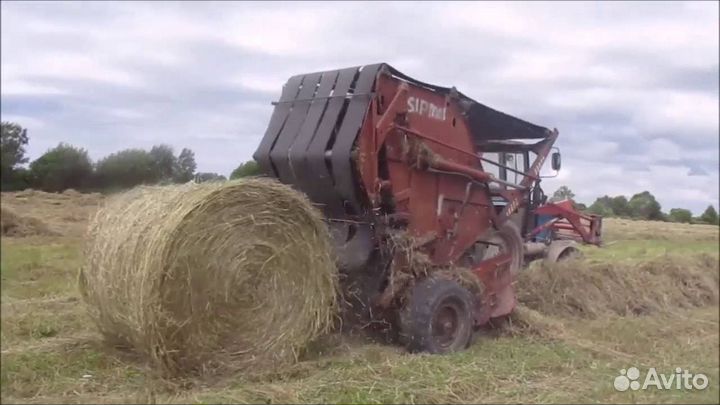 Сено в тюках