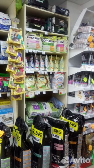 Pro Plan для собак и кошек с доставкой на дом