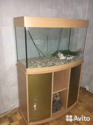 Аквариумы. Фильтры. Грунты. Декорации. 