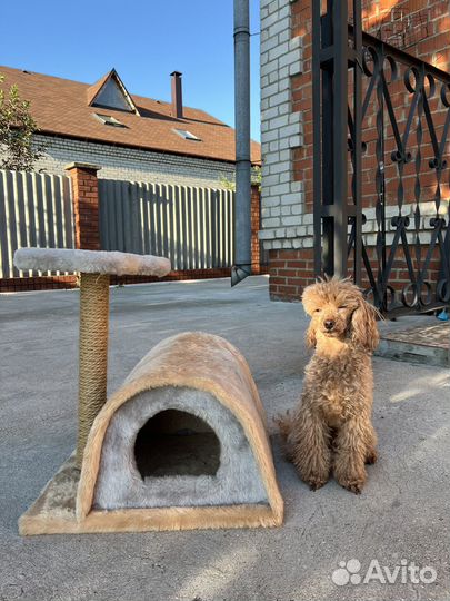 Когачий домик