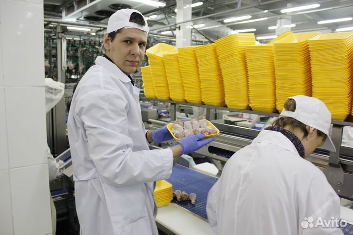 Изготовитель п/ф - вахта в Белгородской обл