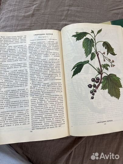 Книги про Растения. Растения, которые нас лечат