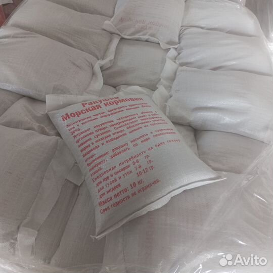 Ракушка морская кормовая