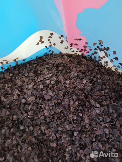 Шелуха гречихи