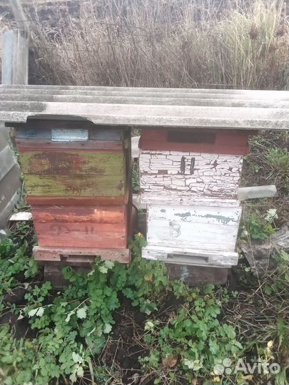 Ульи для пчел