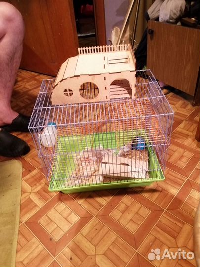 Клетка с домиком полкой и кормушкой