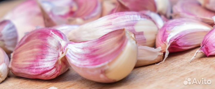 Чеснок