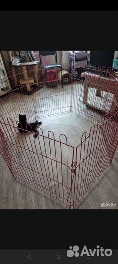 Вольер для собак домашний