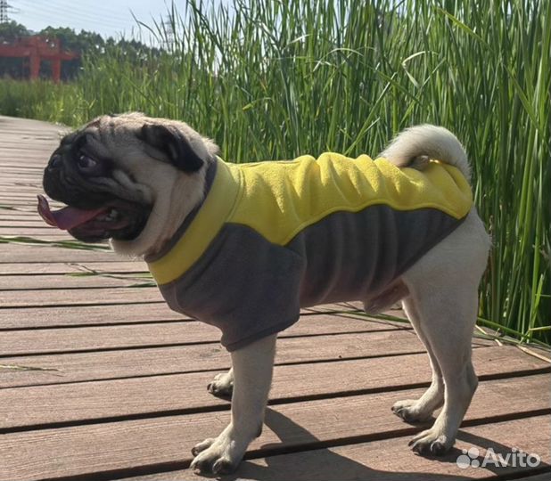Флисовая толстовка для собак