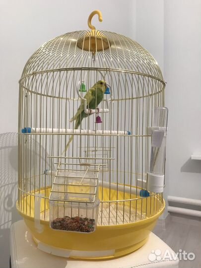 Клетка для попугая