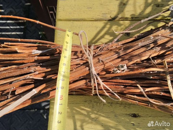 Мята мелисса