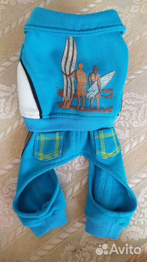 Одежда для собак