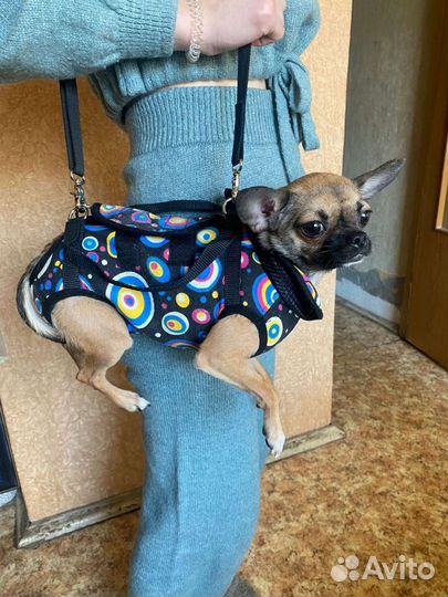 Переноска S