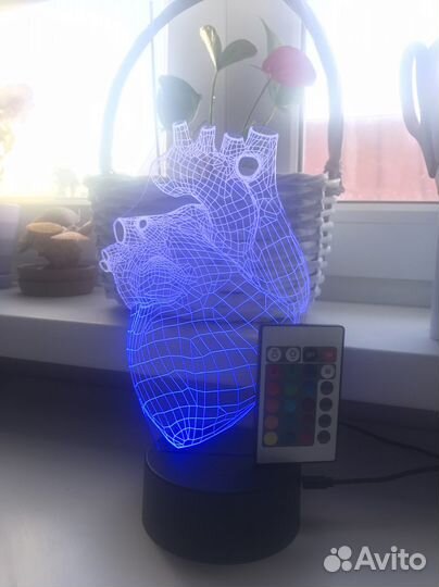 3D ночник (Анатомическое сердце)