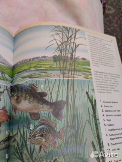 Большая энциклопедия животных для детей