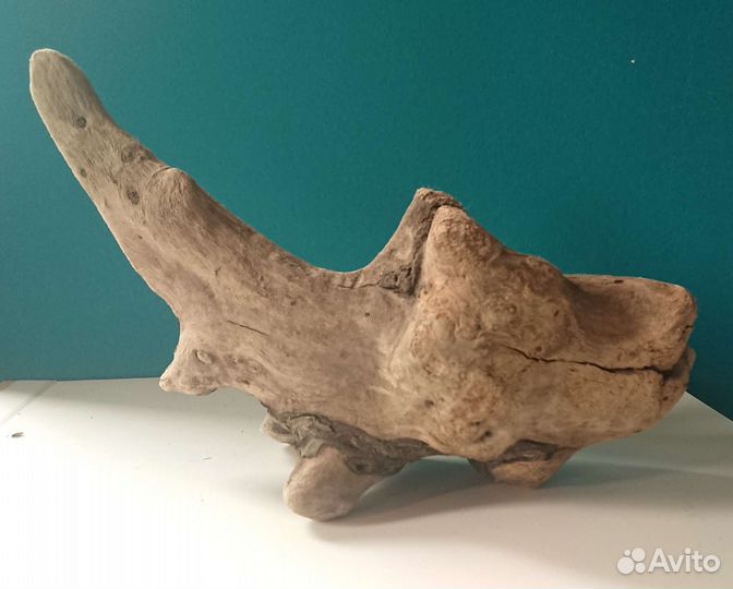 Коряга, дрифтвуд