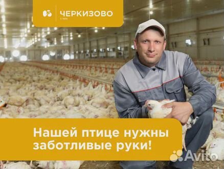 Оператор-Птицивод