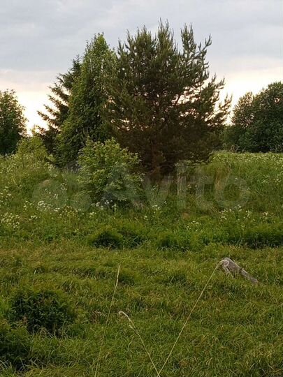 Участок 15 сот. (ИЖС)