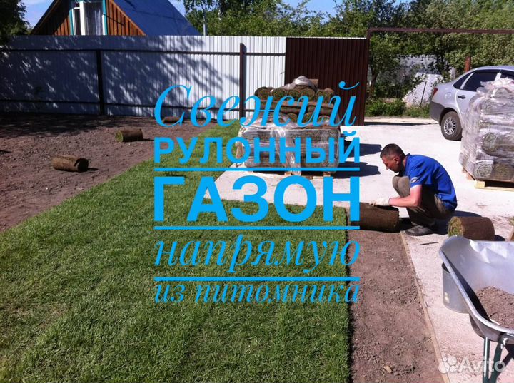 Рулонный газон