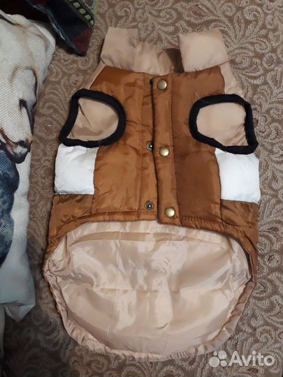 Одежда для маленькой собачки