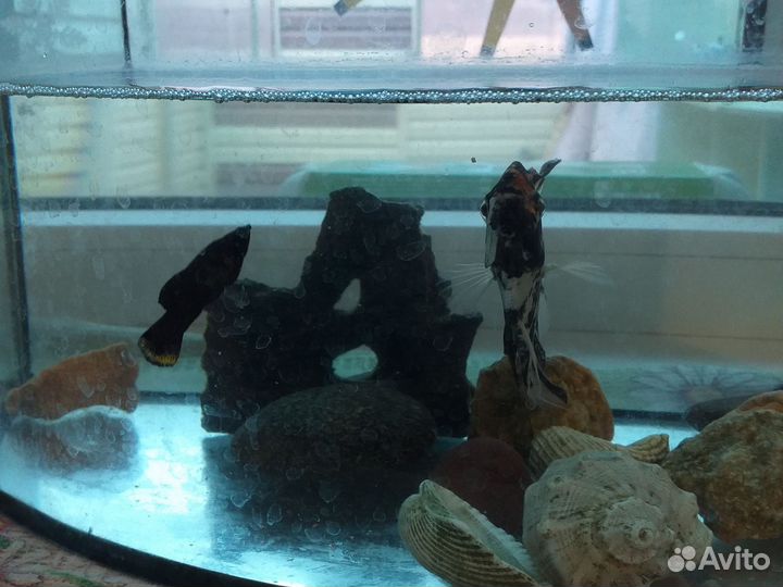 Украшение для аквариума