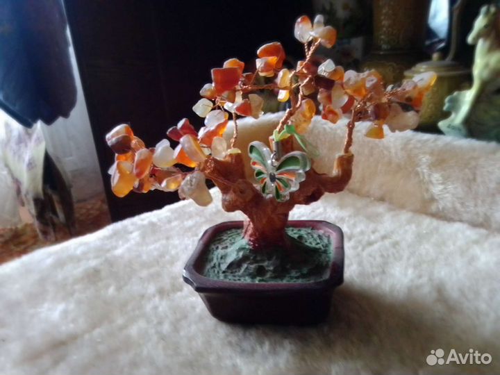 Дерево бонсай