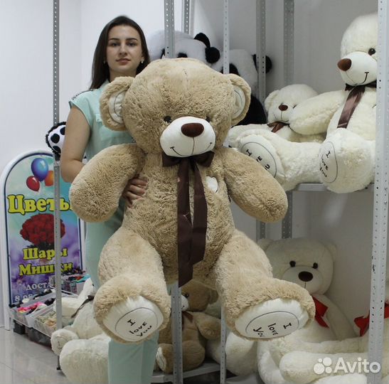 Новые плюшевые мишки