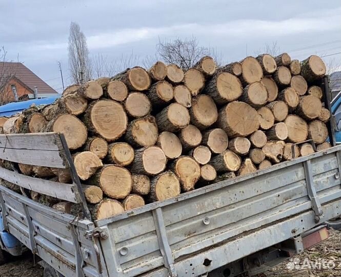Дрова дуб