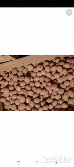 Картофель для скота