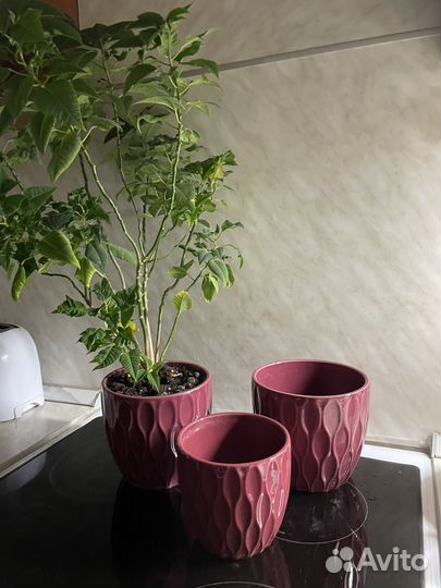 Керамический горшок